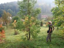 V Semetínském arboretu