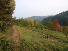 V Semetínském arboretu