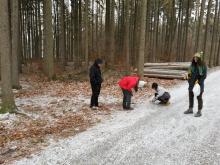 O noci ohňů bylo třeba zapálit vatry a provést dobytek mezi nimi, aby byl chráněn od nemoci.