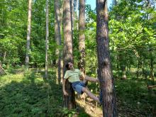 V rámci hry bylo v lese nutno vyhnout se nástrahám Čech, zde například ukrývání se před mravenci.