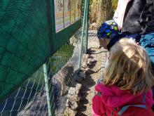 Což je ZOO při místní záchranné stanici živočichů a vystavuje zvířate, která by v přírodě z různých důvodů nepřežila.