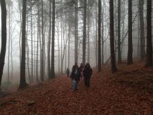 Výlet v sobotu vedl na Zlatý vrch, les byl zahalen mlhou.