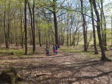 Ještě jeden pohled na naše děti v jarním lese.