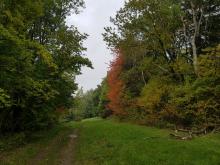 Další pohled na barvy podzimu.