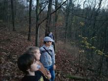 7. listopadu: Vyrazili jsme do lesa mimo hlavní cesty