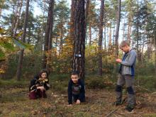 Soutěžní fotka: Pozorování koní na náhorní plošině Giara di Gesturi.