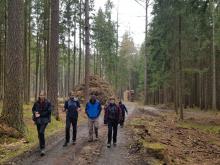 Cesta lesem k rezervaci Niva Doubravy