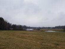 Rybníky v přirodní rezervaci Niva Doubravy