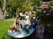 9. května - Vlaštovky vyrazily do botanické zahrady Na Slupi na výstavu Krajinky ze sukulentů