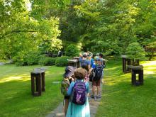 26. června - neopolněli jsme navštívit Japonskou zahradu s výstavou bonsají