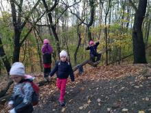 7. listopadu - Vlaštovky vyrazily do lesů v Dolní Šárce