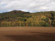 Srnčí vrch je zabarvený do podzimních barev
