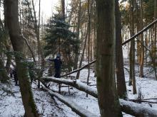 A ještě jeden pohled na stromovou lávku.