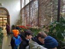 11. března - Zobáci si prohlížejí květiny
