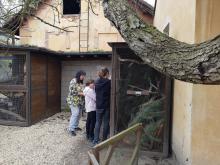 Snažíme se zahlédnout kalouse.