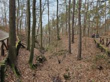 Cesta zpět křižovala Štokovu rokli