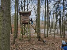 Mia sice byla hrozdě unavená, ale na posed si vylézt musela.