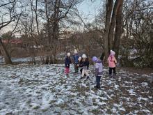 20. ledna - Vlaštovky vyrazily jen do Struh, hrají tu hru na sbírání lístků obratlovců