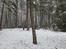 V této hře bylo třeba najít sadu přírodnin podle seznamu