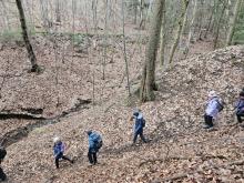 Další cesta vedla údolím potůčku.