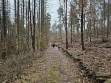 Až do Psár. Bohužel nemám fotky z Benovy a z Kristiánovy hry, protože jsem počítal výsledky a nestihl fotit.