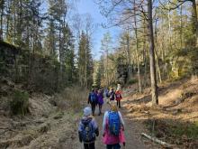 Cesta vede mezí Rájeckými skalami