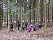 Žábin výlet se týkal zhouby námořníků té doby, nemoci zvané kurděje