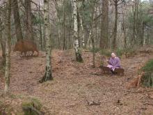 Milé děti, nikdy nehlaďte prasátka v lese, nevíte, nesleduje-li vás jejich maminka.