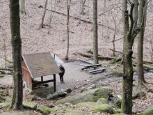Zastávka u studánky Pod Borem v lese, kde borovice nerostly.