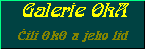 Galerie OkA